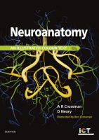 Cover of Neuroanatomy: An Illustrated Colour Text