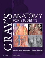 Cover of Gray's Anatomy for Students